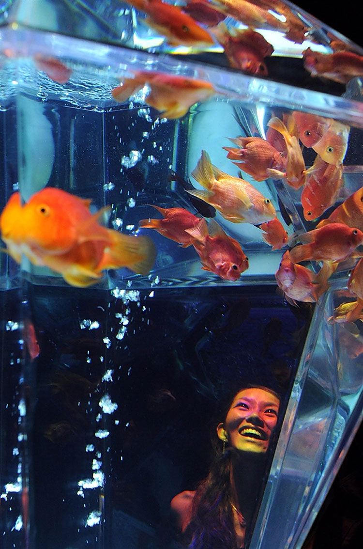 237 Exhibition in Tokyo Turns Aquarium into Works of Art