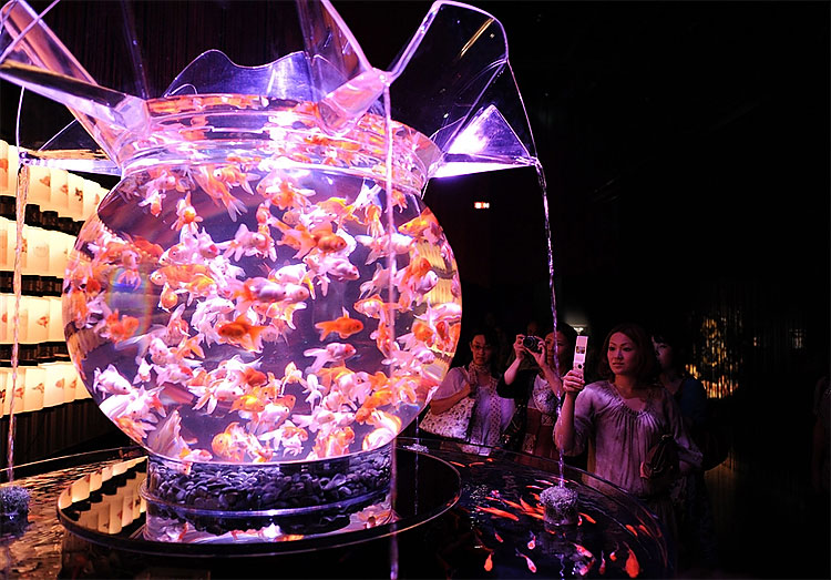 328 Exhibition in Tokyo Turns Aquarium into Works of Art