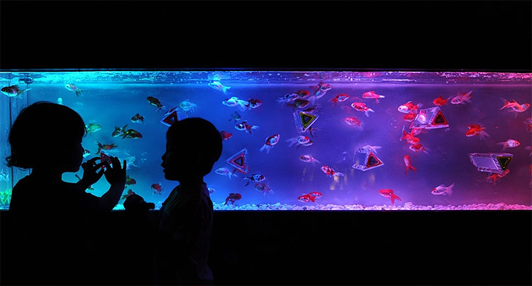425 Exhibition in Tokyo Turns Aquarium into Works of Art