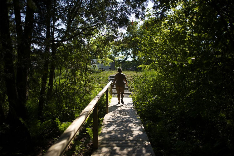 735 Vacation in Your Birthday Suit at Bare Oaks Family Naturist Park