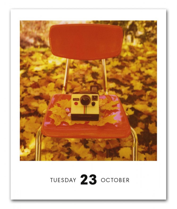 Pola 1 ©Steph Parke 750x882 Poladarium 2012