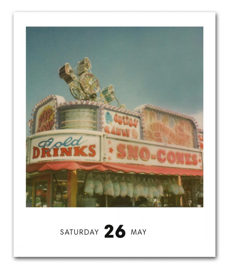 Pola 12 ©Kelli Seeley 750x882 Poladarium 2012