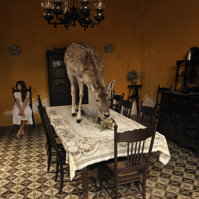 Tom Chambers TomChambers5 Tom Chambers