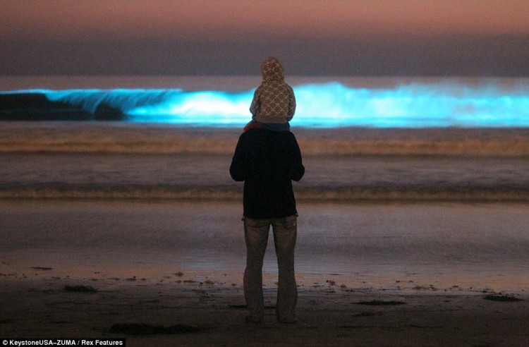 article 0 0E24007E00000578 171 964x633 750x492 Glowing California coastline