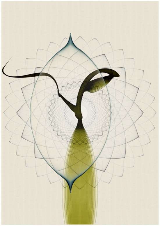 cristianbolan13 550x775 Cristian Boian Attempts 