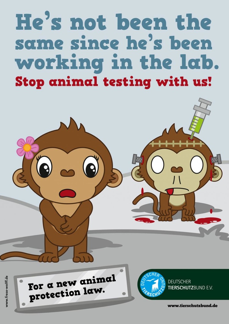 deutscher tierschutz bund monkey pic on Design You Trust deutscher tierschutz bund monkey animal protection