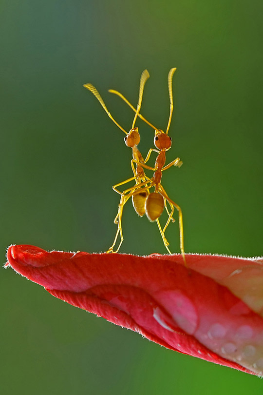 Daily Inspirations no. 261 di261b Daily Inspirations no. 261