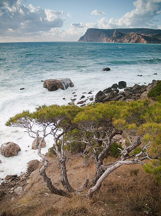 DAILY INSPIRATIONS FOR DYT #149 dyt149c DAILY INSPIRATIONS FOR DYT #149