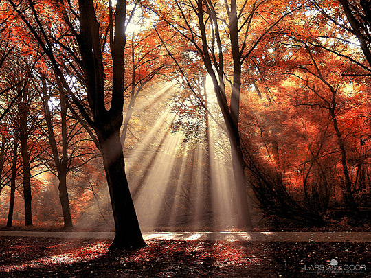 fp7a Fall Photography
