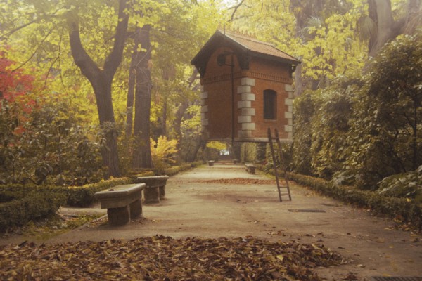 013 600x400 No way home