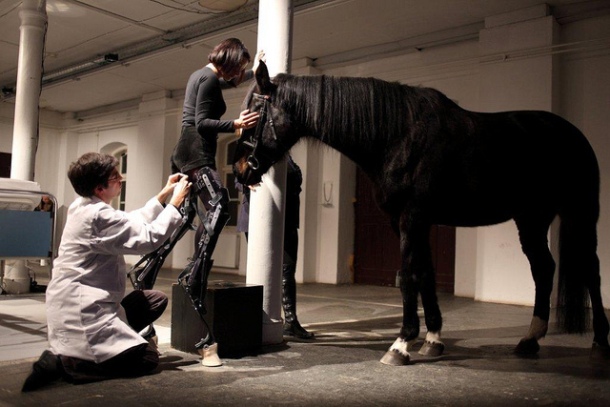 That The Horse Liven In Me Horse Plasma Injections for Art 032 That The Horse Liven In Me Horse Plasma Injections for Art