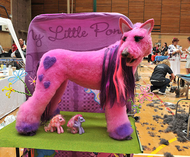 A poodle clippered and dyed to look like My Little Pony is pictured at a