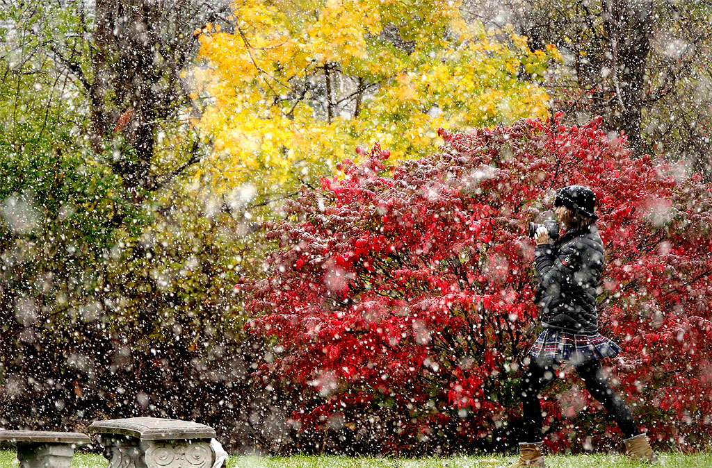 Photo of the Day: Snow Day in Pennsylvania 1245 Photo of the Day: Snow Day in Pennsylvania
