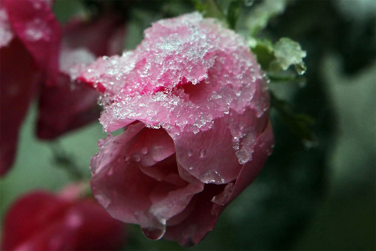 Rare October Storm Dumps 15 Inches of Snow on East Coast 1250 Rare October Storm Dumps 15 Inches of Snow on East Coast