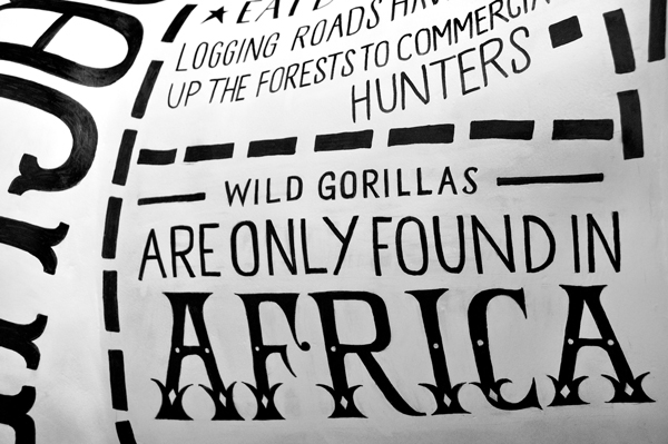 16 Africa GED 3816 edited Going Gone Gorilla