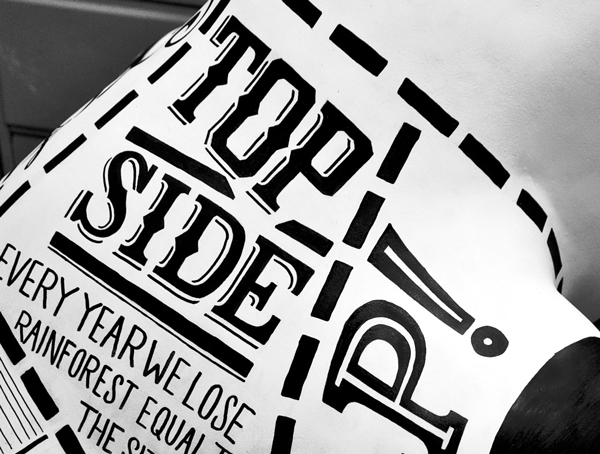 17 Top Side GED 3812 edited Going Gone Gorilla