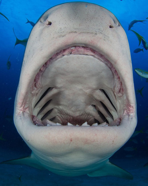 206 40 Outstanding and Inspiring Photos Worth a Look