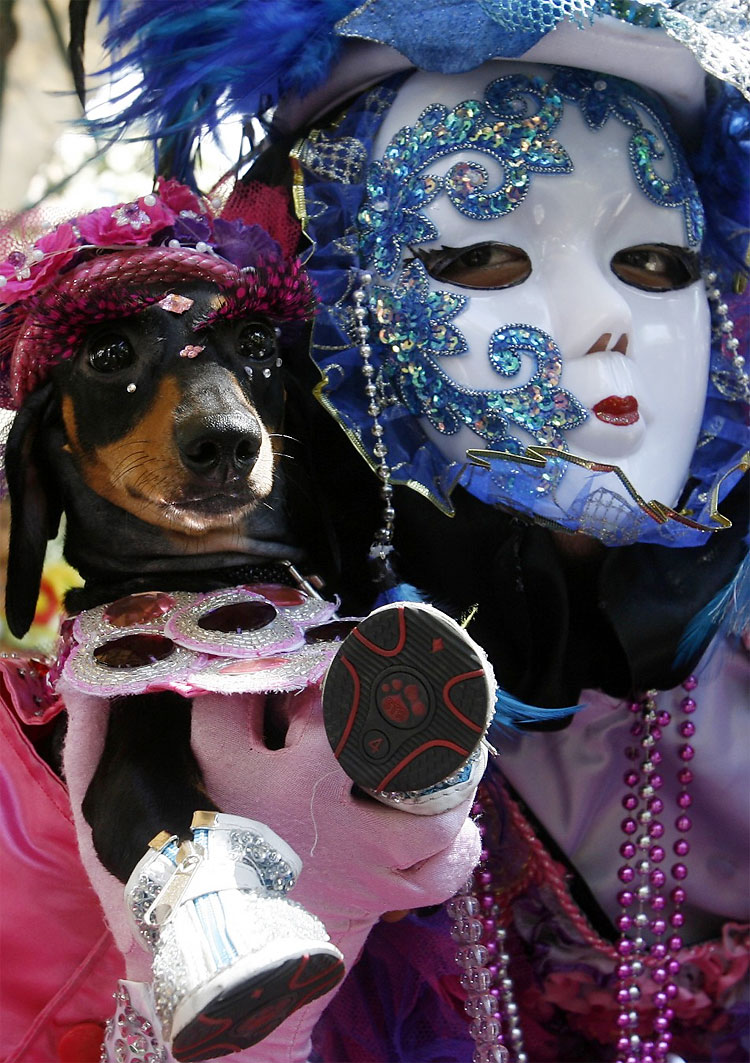 Scaredy Cats and Dogs: Halloween Event in Manila 2139 Scaredy Cats and Dogs: Halloween Event in Manila