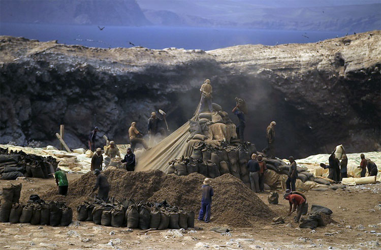 Peru Processes Migratory Birds’ Dung to Help Small Framers 336 Peru Processes Migratory Birds’ Dung to Help Small Framers
