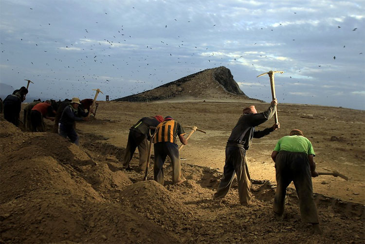 Peru Processes Migratory Birds’ Dung to Help Small Framers 429 Peru Processes Migratory Birds’ Dung to Help Small Framers