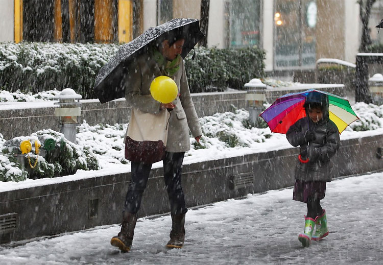 Rare October Storm Dumps 15 Inches of Snow on East Coast 490 Rare October Storm Dumps 15 Inches of Snow on East Coast