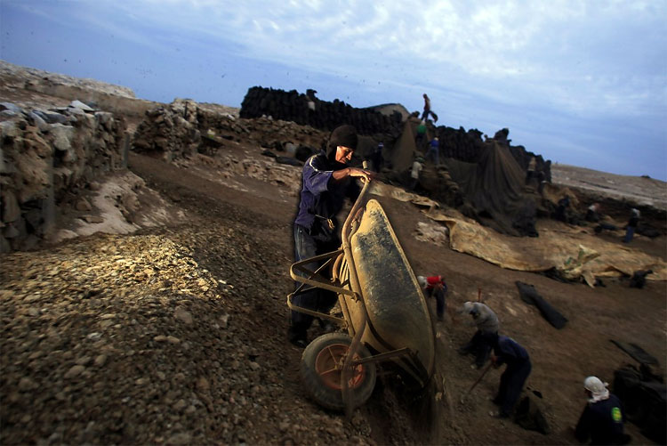 Peru Processes Migratory Birds’ Dung to Help Small Framers 524 Peru Processes Migratory Birds’ Dung to Help Small Framers
