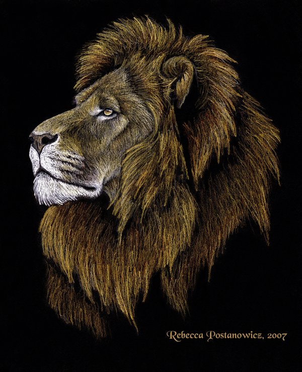25+ Great Animal Drawings From Super Pencils Animal Drawings From Pencils 02 25+ Great Animal Drawings From Super Pencils