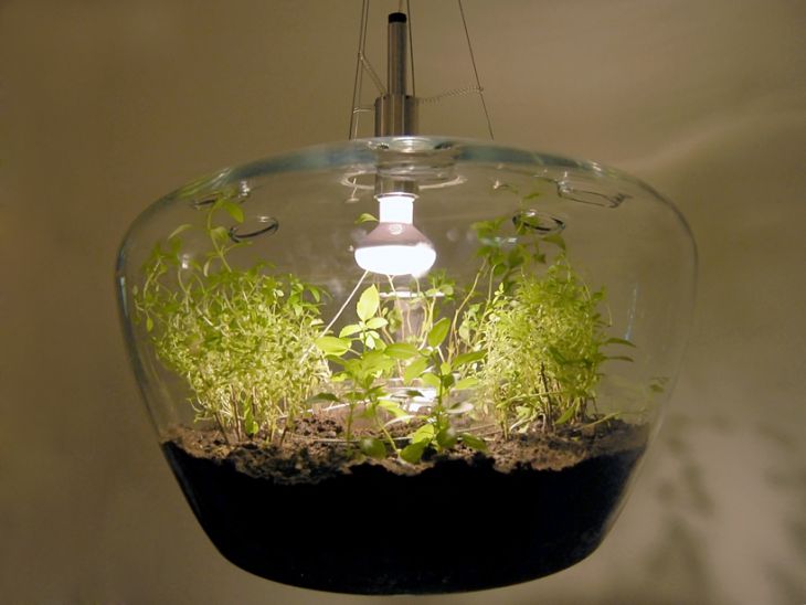 Glass Greenhouse Lamp by Krstyna Pojerova Glass Greenhouse Lamp1 Glass Greenhouse Lamp by Krstyna Pojerova