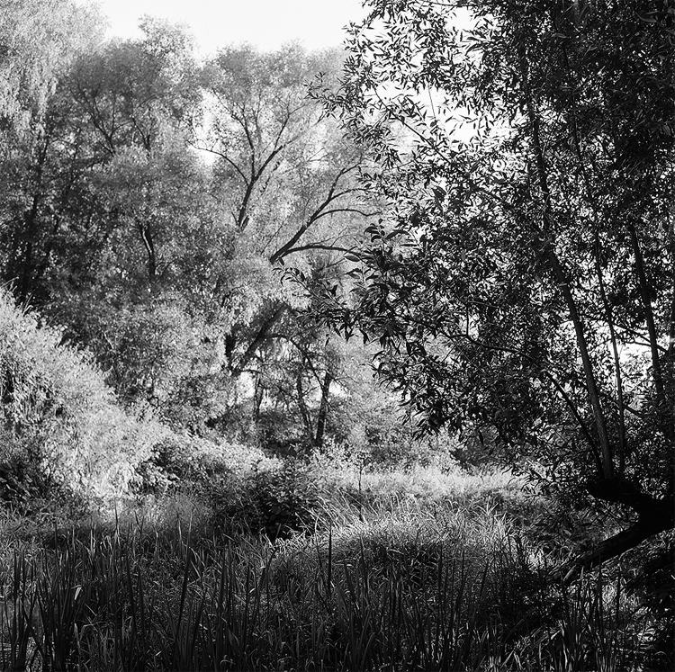 Photographie by Vika Bogorodskaya b13 Photographie by Vika Bogorodskaya