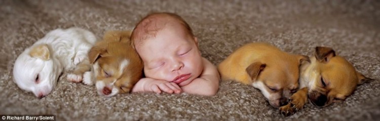 baby beddie 750x239 pic on Design You Trust baby beddie 750x239 Bedtime for babies