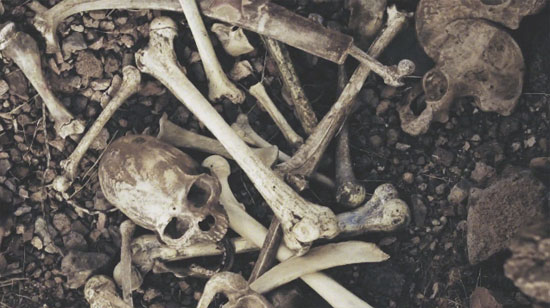 bones3 Dry Bones