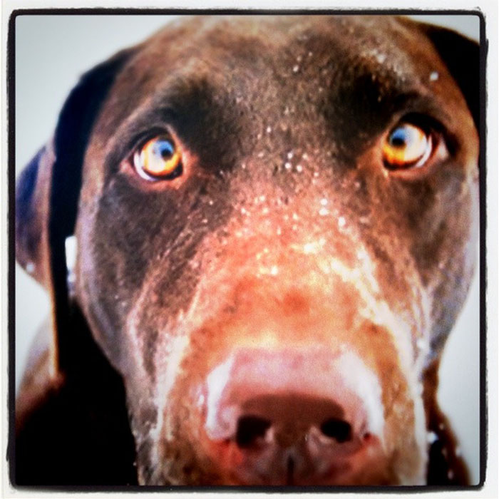 foto4 Instagram | iPhone Shoot Series