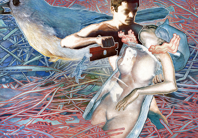 jm7a Illustrations by John Malloy