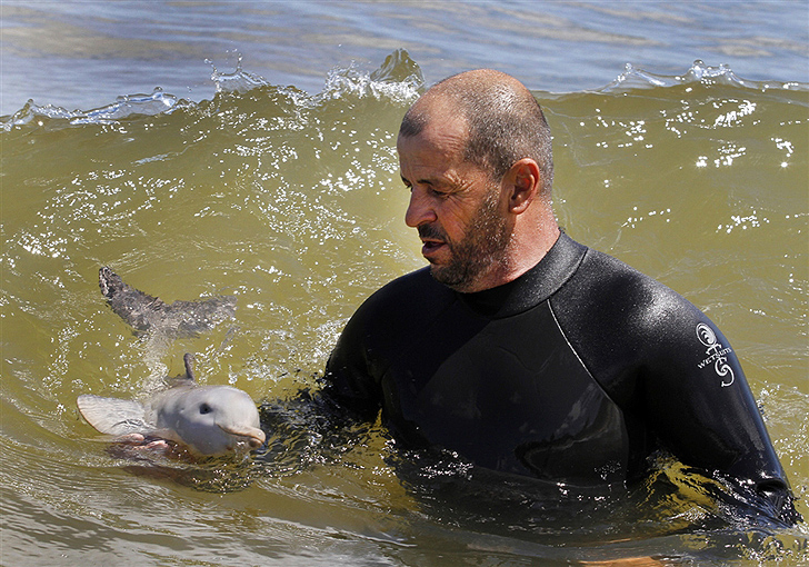 Saving a baby La Plata Dolphin pb 111017 dolphin1 rs.photoblog728 Saving a baby La Plata Dolphin