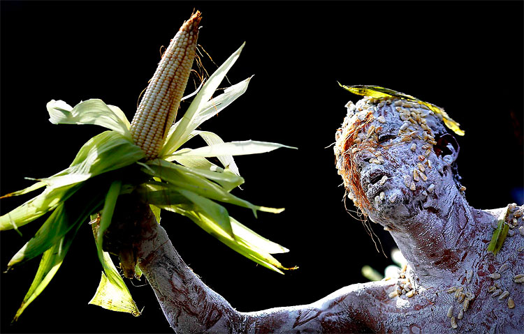 potd1 Photo of the Day: National Corn Day Celebrations in Mexico City
