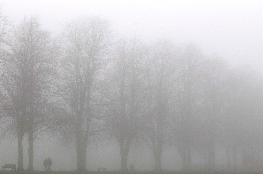 Photo of the Day: Foggy Day in England 1133 Photo of the Day: Foggy Day in England
