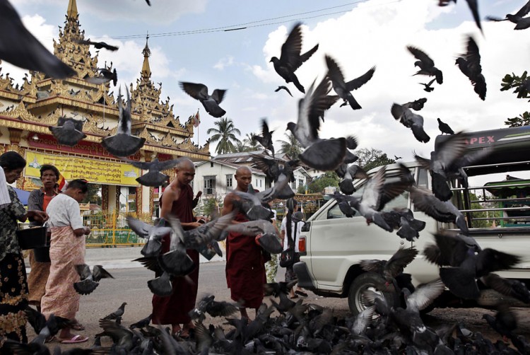 17 08 750x502 pic on Design You Trust 17 08 750x502 Feeding pigeons outside Shwedagon Pagoda