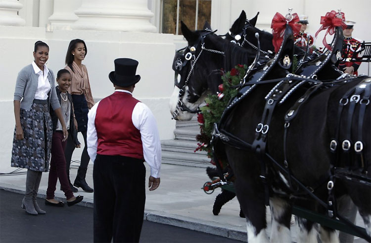 White House Christmas Tree Arrives on a Horse Drawn Carriage 378 White House Christmas Tree Arrives on a Horse Drawn Carriage