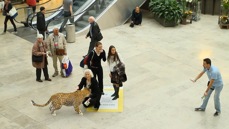 Augmented reality for National Geographic DYT national geographic 1 Augmented reality for National Geographic