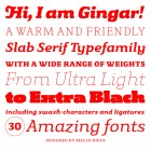 Gingar – Volcano Type Volcano Type Gingar 1 140x140 Gingar – Volcano Type