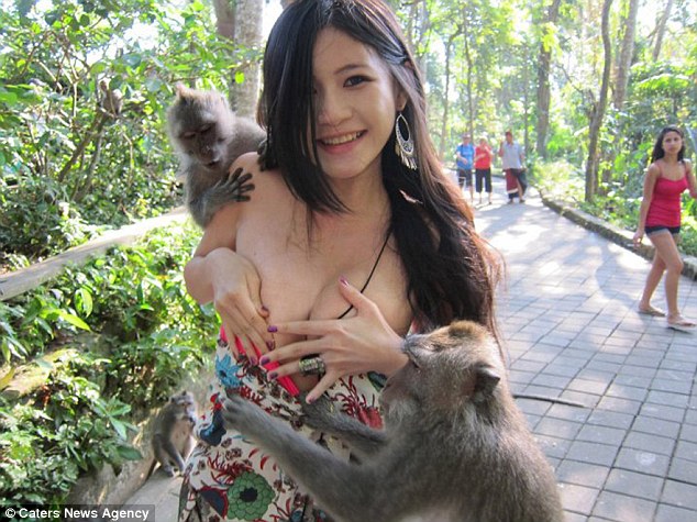 article 2067525 0EFB774E00000578 169 634x475 pic on Design You Trust article 2067525 0EFB774E00000578 169 634x475 Balinese macaques manhandle Taiwanese student