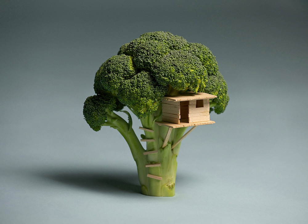 broccoli house 01 Broccoli House