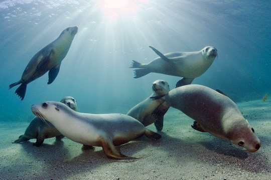 Daily Inspirations no. 292 c1a7 Daily Inspirations no. 292