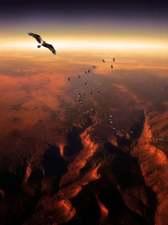 c1c36 Daily Inspirations no. 308