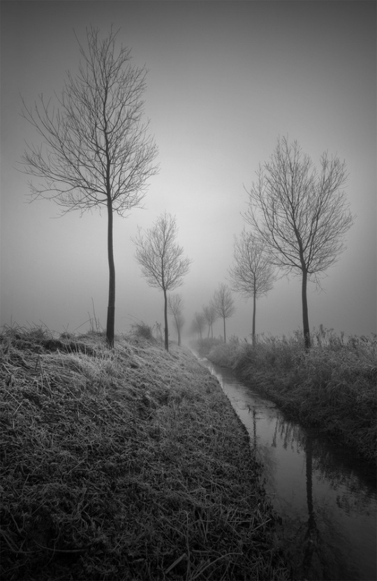 Amazing photos dyt1c15 Amazing photos
