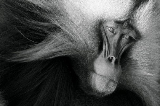 Amazing photos dyt1e16 Amazing photos