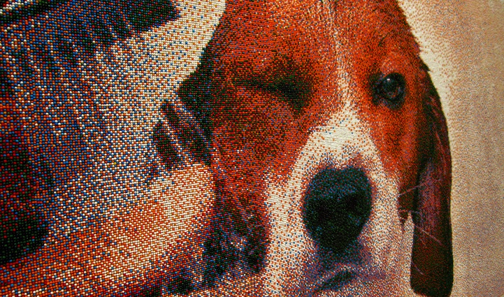 joelbrochu01 Pixelated Beagle Made of 221K Sprinkles