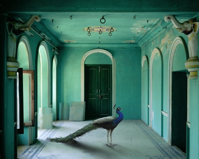 karenknorr05 Karen Knorr “India Song”