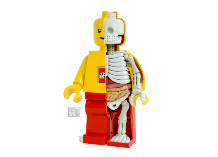 lego anatomy pic on Design You Trust lego anatomy lego anatomy