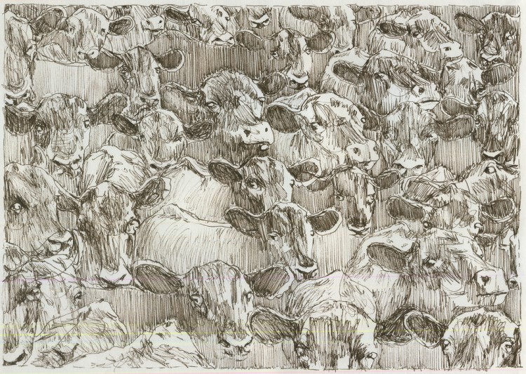 m6 750x533 Drawings by Moni Lewandowski !